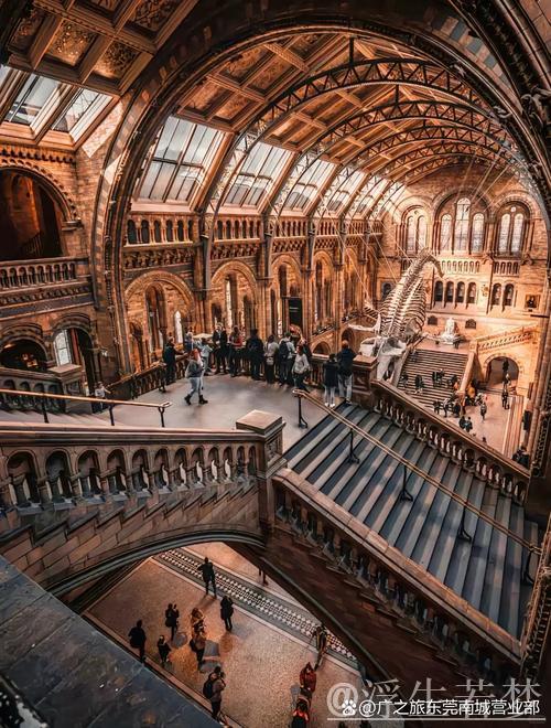 绿茵殿堂:探索建筑美学 绿茵殿堂:探索建筑美学